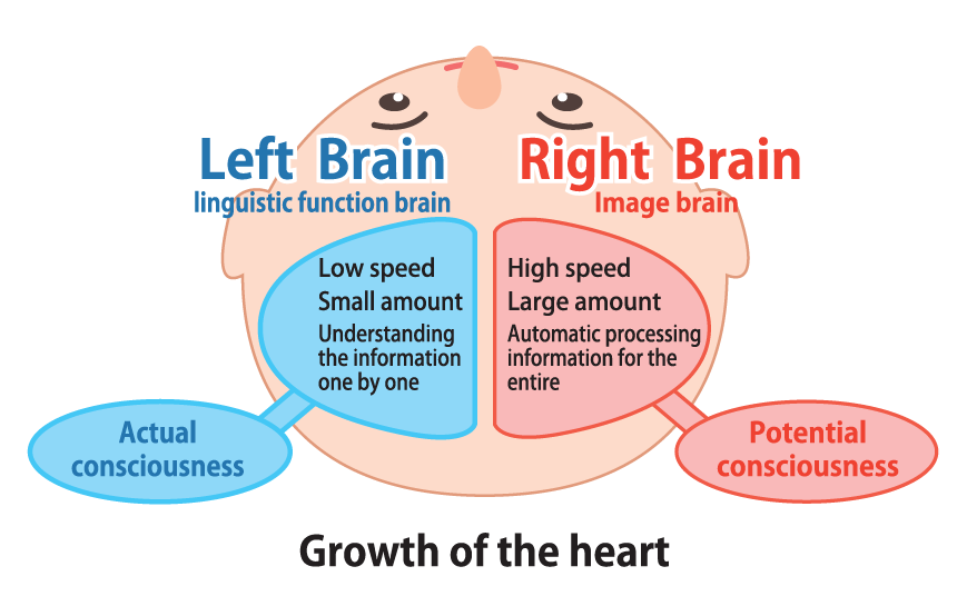 Facts About Your Left Brain vs Right Brain